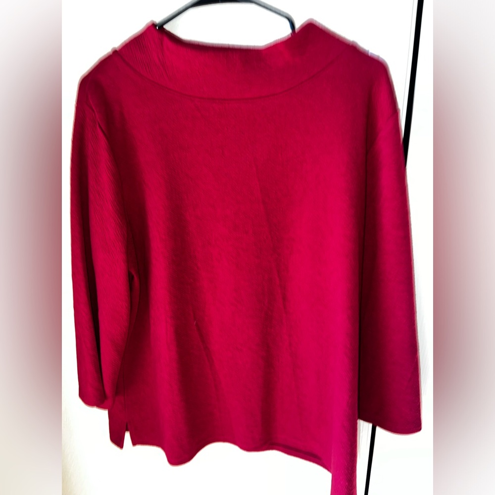 Investments Maroon/Red Sweater